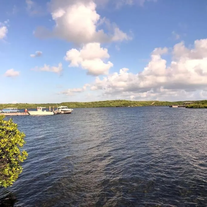 Zelma'S Inn St. John's Antigua/Barbuda