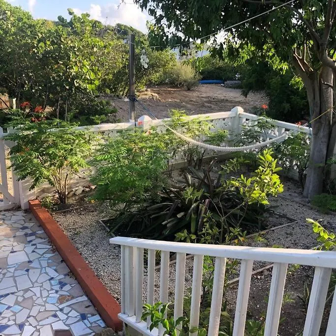Zelma'S Inn St. John's Holiday home